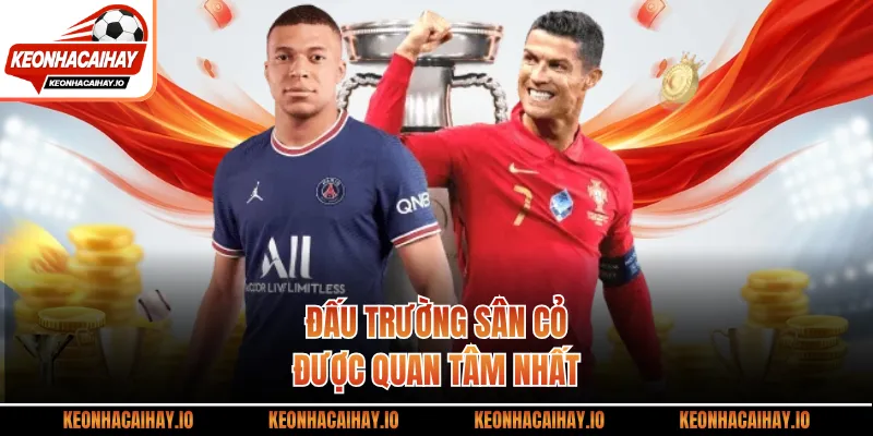 Đấu trường sân cỏ được quan tâm nhất