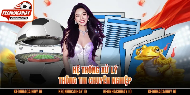 Hệ thống xử lý thông tin chuyên nghiệp
