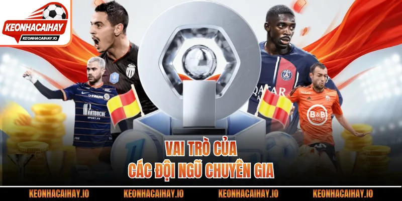 Vai trò của các đội ngũ chuyên gia